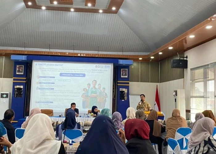 Gandeng PNM, Kanwil DJPb Bengkulu Fasilitasi Modal Usaha Perempuan Hingga Rp10 Juta Tanpa Agunan