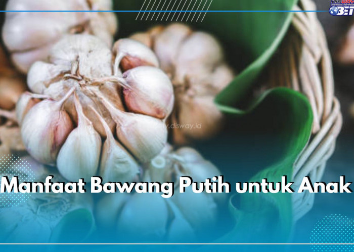 Ini 6 Manfaat Mengonsumsi Bawang Putih oleh Anak, Salah Satunya Meningkatkan Sistem Imun Tubuh