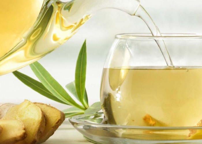 Bantu Perut Lebih Nyaman, Minuman Sehat yang Baik untuk Pencernaan