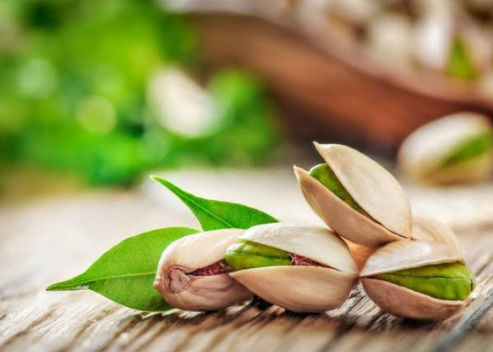 Kaya Nutrisi, Ini Manfaat Kacang Pistachio untuk Kesehatan Ibu Hamil dan Janin