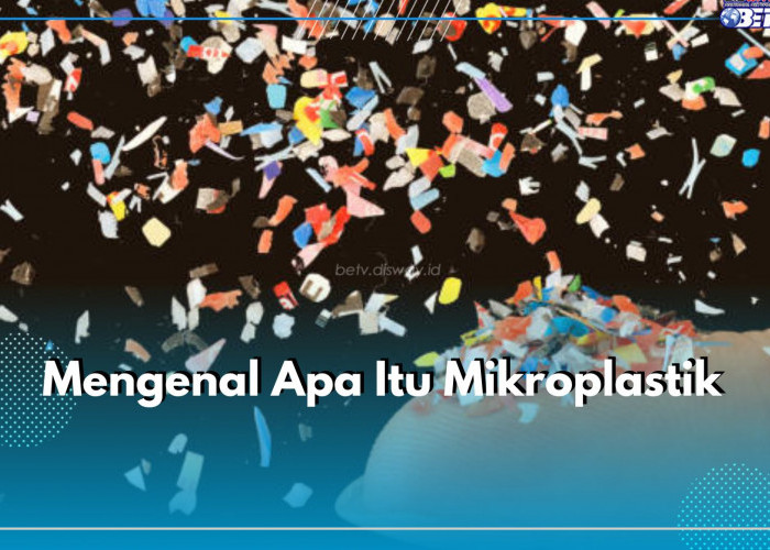 Mengenal Apa Itu Mikroplastik yang Kian Mengkhawatirkan, Dari Mana Sumbernya?