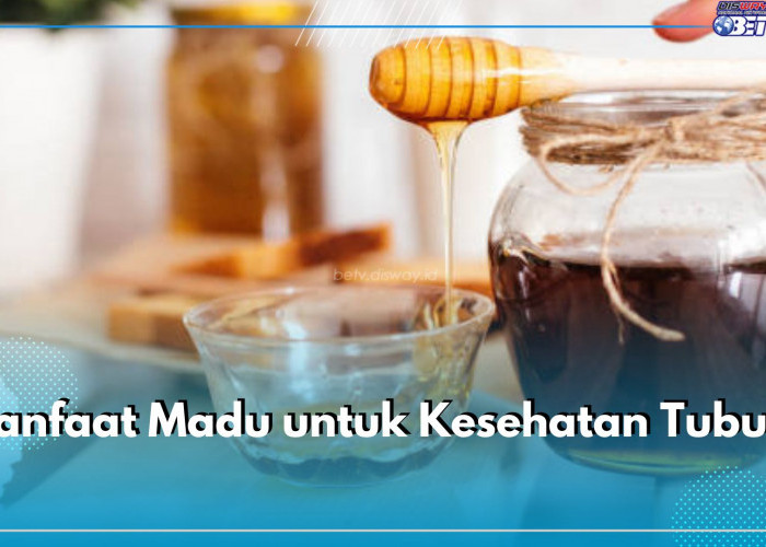 Kenali, 12 Manfaat Madu untuk Kesehatan Tubuh, Kandungannya Bagus Menjaga Sistem Imun