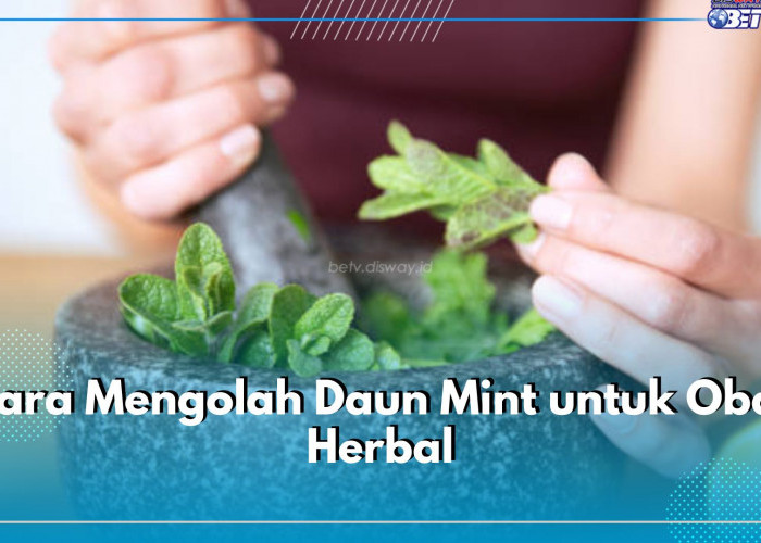 Simpel Banget! Gunakan 6 Cara Ini untuk Olah Daun Mint Jadi Obat Herbal