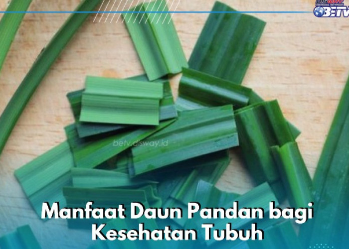 Daun Pandan Baik bagi Kesehatan, Cek Manfaatnya di Sini, Ampuh Menetralkan Racun