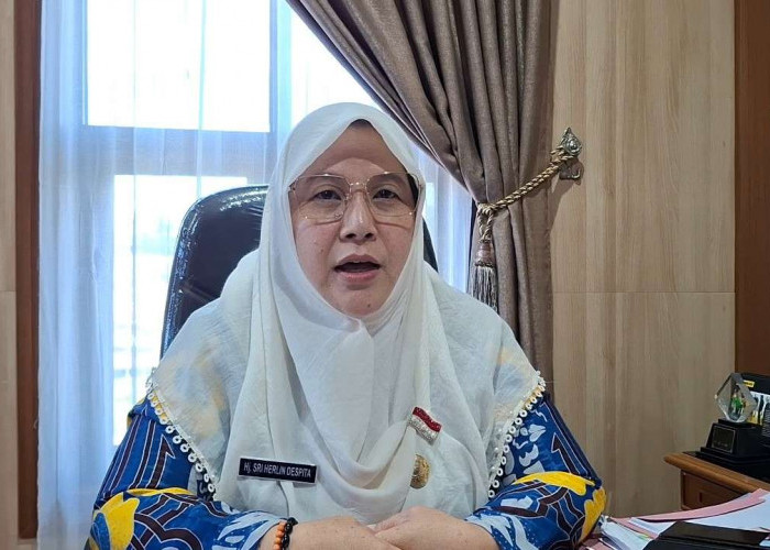 Realisasi Bantuan Benih 2026 Tinggi, Pemprov Bengkulu Buka Usulan Tambahan untuk Petani