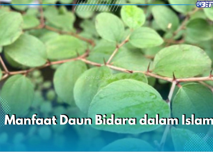 Disebutkan dalam Al-Quran, Ternyata Ini 6 Manfaat Daun Bidara dalam Islam