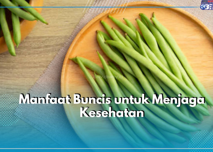 Tak Kalah dari Sayuran Lain, Ini Manfaat yang Ditawarkan Buncis untuk Jaga Kesehatan