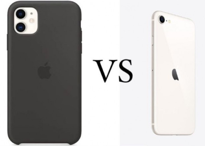 Selisih Harga Rp1 Juta Aja, Ini Perbandingan Keunggulan iPhone 11 dan iPhone SE 3, Tertarik Seri Mana?