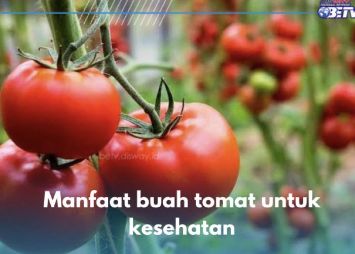 10 Manfaat Buah Tomat untuk Kesehatan, Salah Satunya Turunkan Resiko Kanker