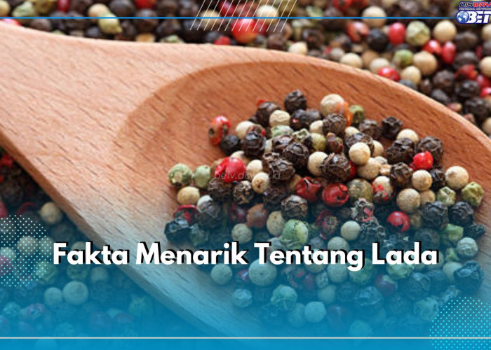 6 Fakta Menarik Tentang Lada Ini Jarang Diketahui, Nomor 6 Tak Terduga