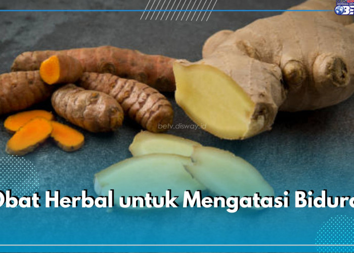 5 Jenis Obat Herbal Ini Ampuh Atasi Biduran, Ada Lidah Buaya hingga Daun Mint