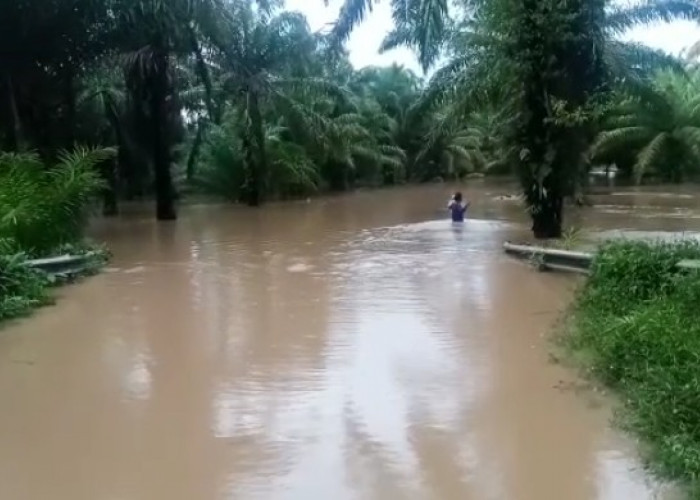 Banjir Lumpuhkan Jalan Menuju ke Desa Pasar Seluma 