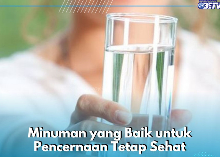 Ini Sederet Minuman Sehat yang Perlu Dikonsumsi, Baik untuk Pencernaan Tetap Sehat