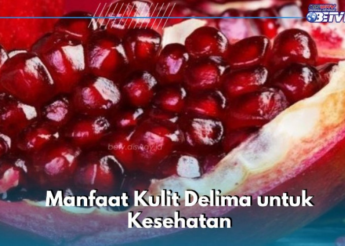 Bisa Jadi Obat Jerawat, Ini Manfaat Kulit Delima yang Perlu Diketahui, Cek Sekarang