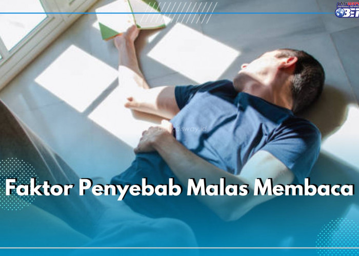 5 Faktor Penyebab Malas Membaca yang Perlu Kamu Hindari, Salah Satunya Kebiasaan Scroll Sosmed