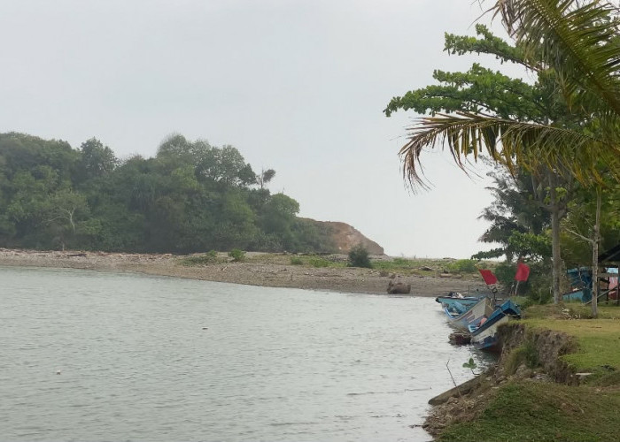 Tingkatkan Kesejahteraan Nelayan, Pemkab Bengkulu Selatan Usulkan 10 Perahu Fiber Lengkap Mesin ke KKP
