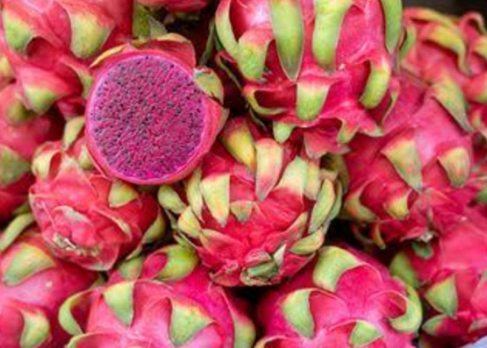 4 Manfaat Buah Naga untuk Kecantikan Kulit, Yuk Gunakan Secara Rutin!