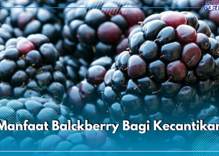 Intip Sederet Manfaat Makan Blackberry Bagi Kecantikan, Bagus Untuk Merawat Kulit Wajah