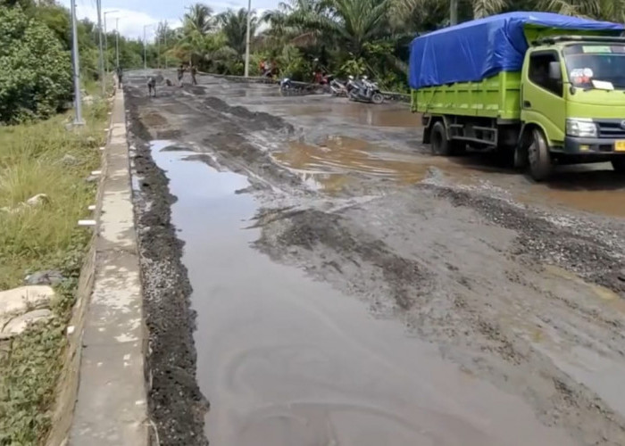Pemprov Bengkulu Bongkar Tanggung Jawab Pelindo atas Jalan Rusak Teluk Sepang