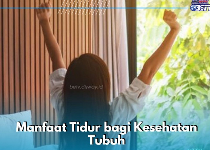 Cek di Sini! Manfaat Tidur bagi Kesehatan, Ampuh Meningkatkan Kekebalan Tubuh