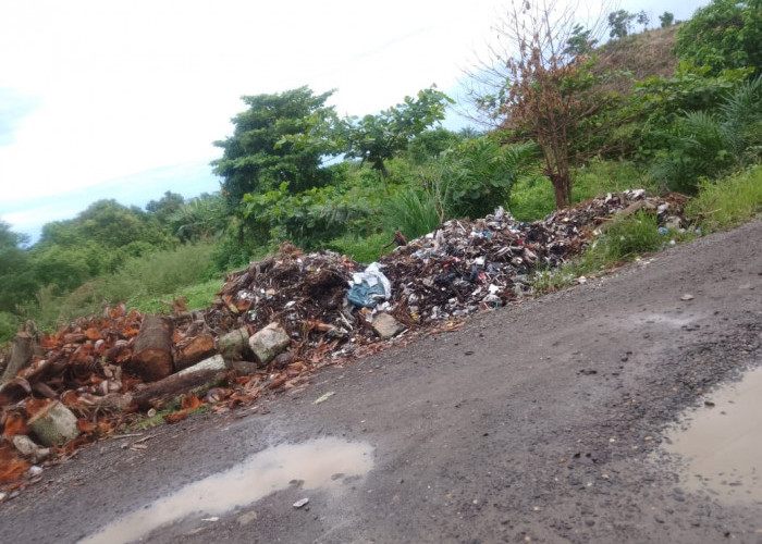 Warga Keluhkan Tumpukan Sampah di TPS Bunga Mas Seluma, Lebih dari Seminggu Tak Diangkut