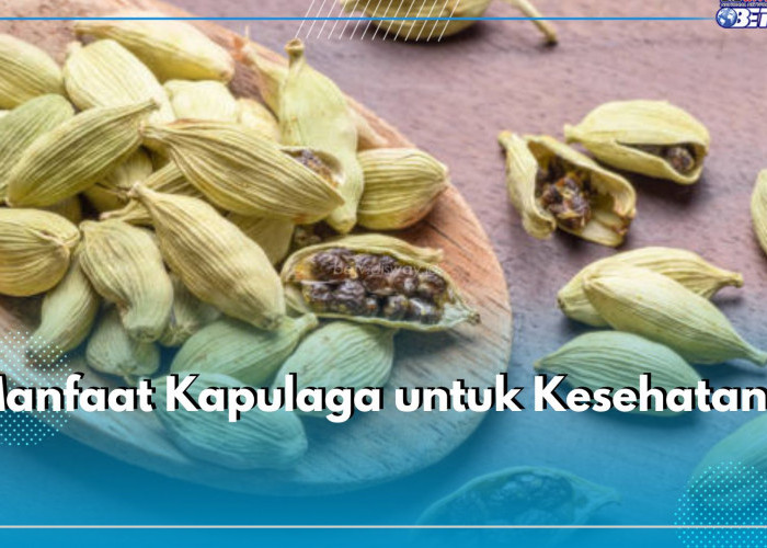 6 Manfaat Kapulaga untuk Kesehatan, Ternyata Ampuh Cegah Penyakit Kronis