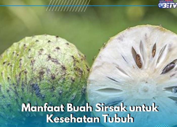 Buah Sirsak Punya Manfaat Baik bagi Tubuh, Mampu Mencegah Kanker, Ini Khasiat yang Ditawarkan