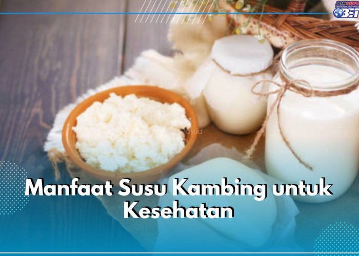 6 Manfaat Susu Kambing untuk Kesehatan, Salah Satunya Miliki Lemak Sehat