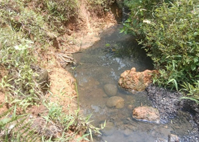 Manfaatkan Hujan, PT SSL Diduga Kucing-kucingan Buang Limbah ke Sungai