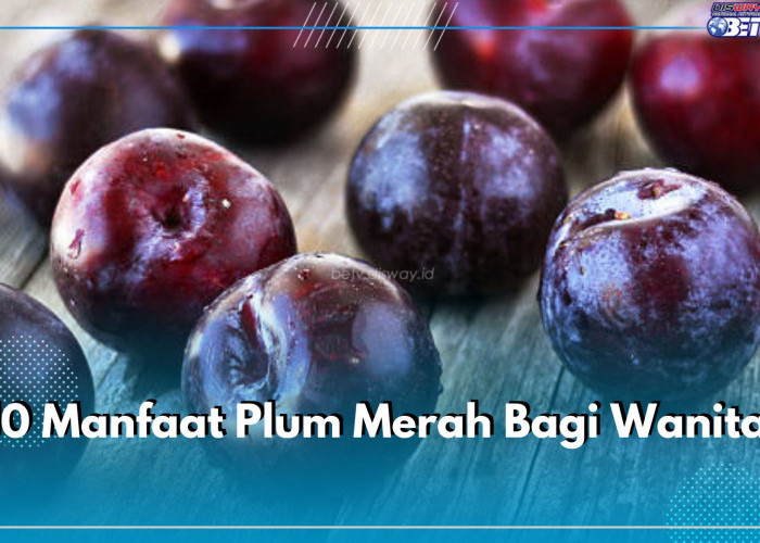 10 Manfaat Plum Merah Bagi Wanita, Mengatur Berat Badan Hingga Mendukung Kesehatan Reproduksi