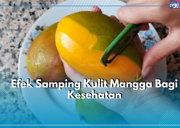 Konsumsi Kulit Mangga Dapat Memicu Timbul Penyakit, Apa Saja? Cek Efek Sampingnya Disini!