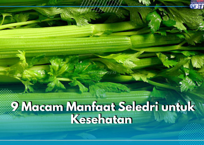 Nutrisi dan 9 Macam Manfaat Seledri untuk Kesehatan, Cek di Sini