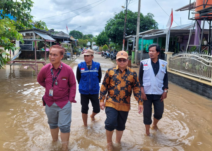Kadis Kominfo Provinsi Bengkulu Tinjau Lokasi Banjir di Kota Bengkulu