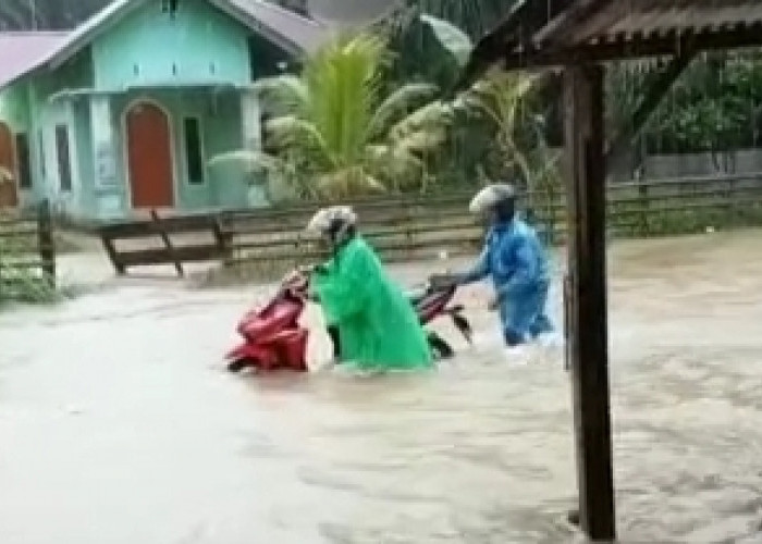 Banjir Landa desa Lubuk Betung dan Padang Peri, Ketinggian Capai Lutut Orang Dewasa