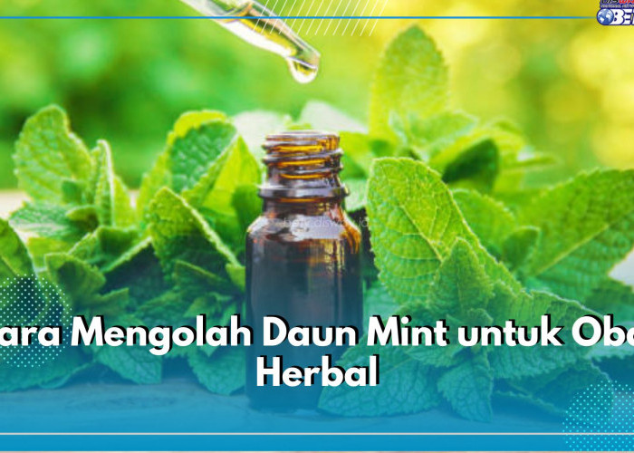 Dibuat Jadi Teh hingga Infused Water, Begini 6 Cara Olah Daun Mint untuk Obat Herbal