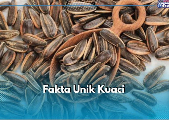 Bukan Camilan Biasa, Ini 6 Fakta Unik Kuaci yang Perlu Kamu Ketahui