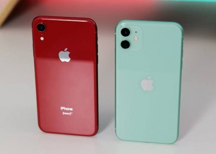 Pilih iPhone XR atau iPhone 11? Ini Perbandingan Spesifikasi dan Harganya per Maret 2024