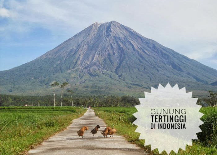 7 Gunung Tertinggi di Indonesia, Gunung Semeru Nomor Empat, Pernah Jadi Lokasi Syuting 5 Cm