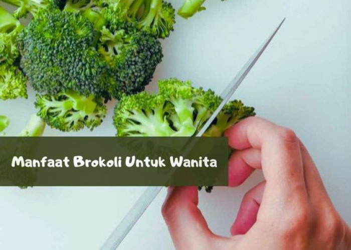 Inilah Sederet Manfaat Brokoli Untuk Wanita, Dapat Meningkatkan Kesuburan, Cek Khasiat Lainnya!