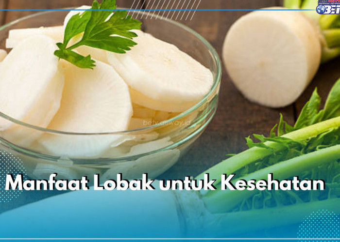 Sudah Tahu? Ini 6 Manfaat Lobak untuk Kesehatan, Bisa Bantu Detoks Tubuh dari Racun