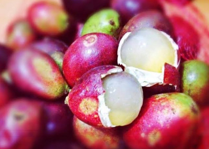 Ini Fakta Unik Buah Matoa yang Jarang Diketahui, Utamanya Miliki Gabungan Rasa yang Lezat