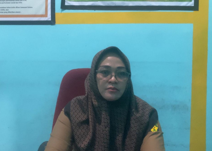 Hutan Kota Manna Bakal Punya Wisata Buah, DLHK Siapkan Ribuan Bibit Buah Jambu Jamaika dan Kelengkeng