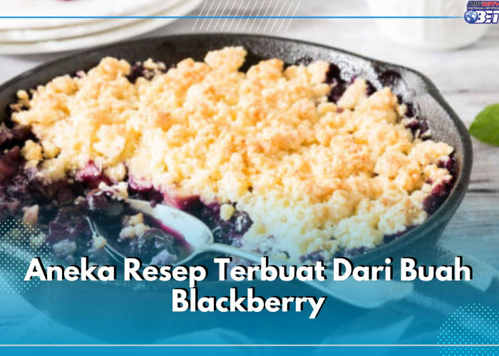 3 Aneka Resep Terbuat Dari Buah Blackberry, Dijamin Enak dan Sehat