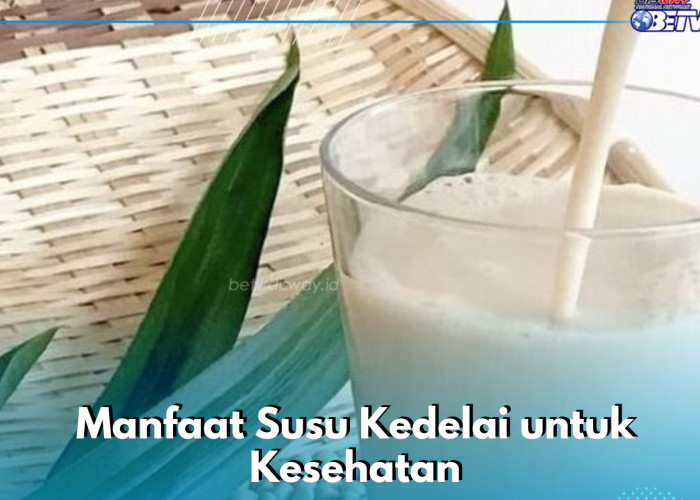 Manfaat Konsumsi Susu Kedelai, Cek Lengkapnya di Sini! Ampuh Menurunkan Peradangan