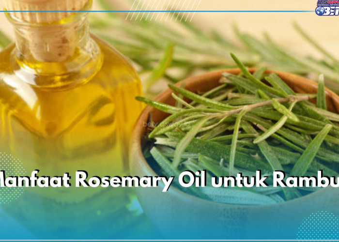 Ini 5 Manfaat Rosemary Oil untuk Rambut, Bisa Rangsang Pertumbuhan hingga Atasi Ketombe