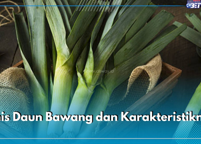 7 Jenis Daun Bawang dan Karakteristiknya, Yuk Ketahui Perbedaaannya!