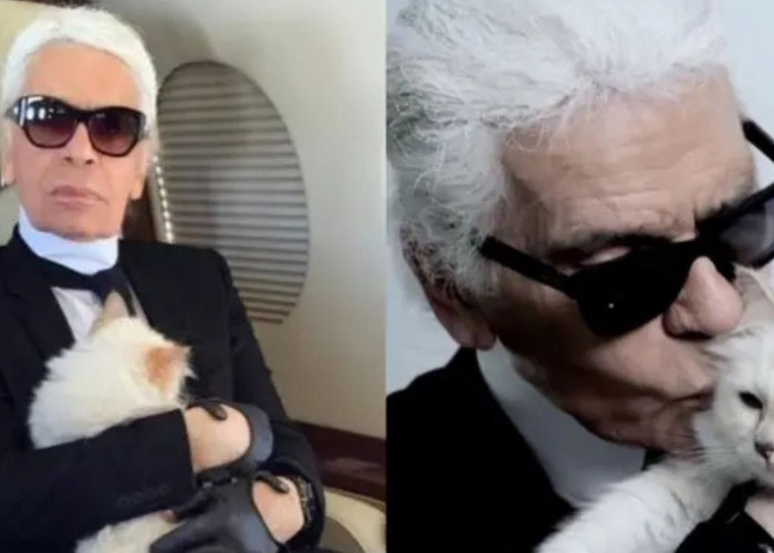 Wasiat Karl Lagerfeld Dipersoalkan, Kucing Kesayangan Ikut Kebagian Rumah dan Dana Fantastis