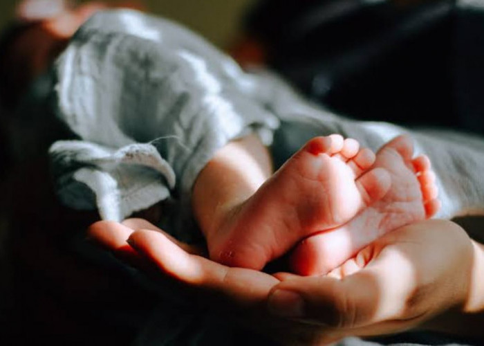 Syarat dan Mekanisme Pendaftaran BPJS Kesehatan untuk Bayi Baru Lahir