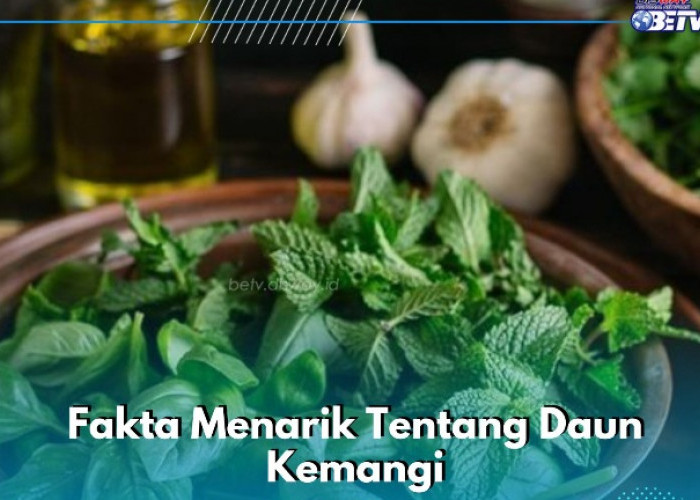 Fakta Lain Daun Kemangi yang Perlu Diketahui, Tidak Hanya Baik untuk Kesehatan