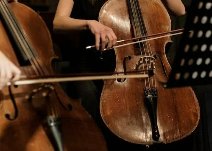 29 Desember Memperingati Hari Apa? Cek Daftarnya Disini, Ada Hari Cello Internasional